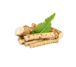 Fresh Organic Ginger Medium Size