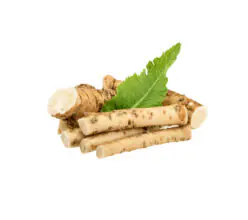 Fresh Organic Ginger Medium Size