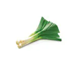 Leek Vegetable Seeds For Home (100g)