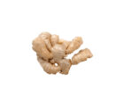 Fresh Organic Ginger Big Size, 100g