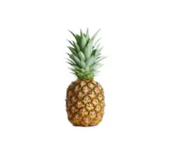 Pineapple (Tropical Gold) 1 Basket, Medium