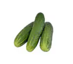 Broccoli Seeds 100% Non GMO (25g - 50g) - Image 6