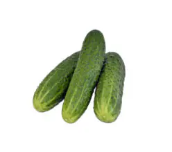 Cucumber F1 Hybrid Organic, 100g