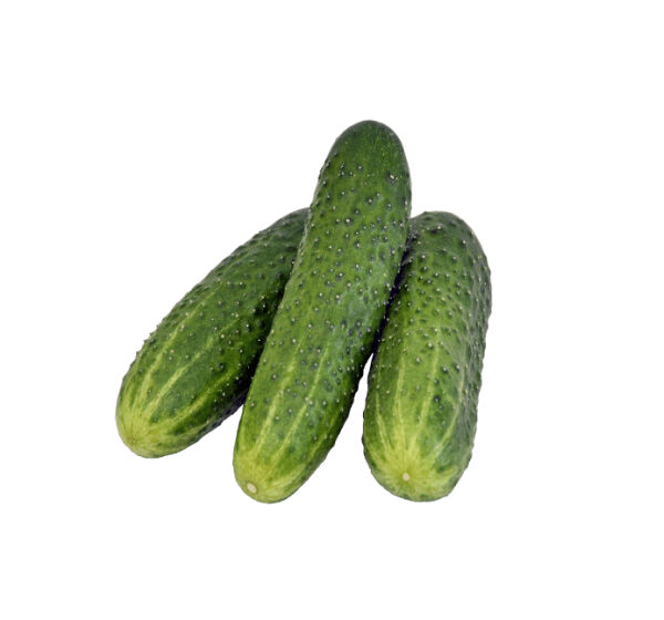 Cucumber F1 Hybrid Organic, 100g